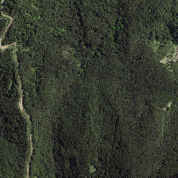 Satellite imagery of Whareongaonga, NZ