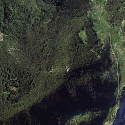 Satellite imagery of Whareongaonga, NZ