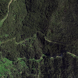 Satellite imagery of Whareongaonga, NZ