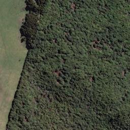 Satellite imagery of Werohanga Point, NZ