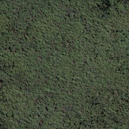Satellite imagery of Werohanga Point, NZ