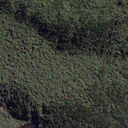 Satellite imagery of Werohanga Point, NZ