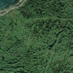 Satellite imagery of Bulli Point, NZ
