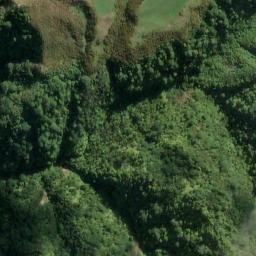 Satellite imagery of 9961, NZ