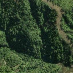 Satellite imagery of 9961, NZ