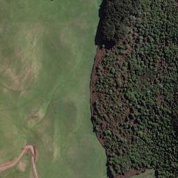 Satellite imagery of 1538 PUKEKAIKIORE, NZ