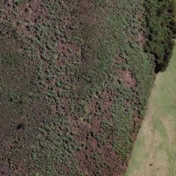 Satellite imagery of 1538 PUKEKAIKIORE, NZ