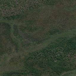 Satellite imagery of Lillypilly, AU