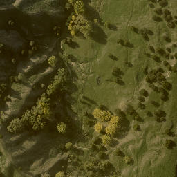 Satellite imagery of 1704 TUTUTOTARA, NZ