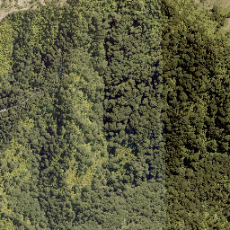 Satellite imagery of 1702 RANGIRIRI, NZ