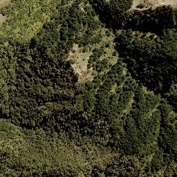 Satellite imagery of 1702 RANGIRIRI, NZ