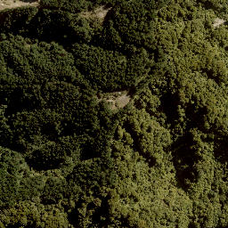 Satellite imagery of 1702 RANGIRIRI, NZ