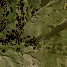 Satellite imagery of 1704 TUTUTOTARA, NZ