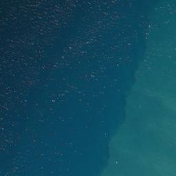 Satellite imagery of Titoki Pa, NZ