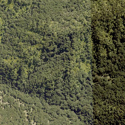 Satellite imagery of 1702 RANGIRIRI, NZ