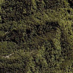 Satellite imagery of 1702 RANGIRIRI, NZ