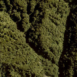 Satellite imagery of 1702 RANGIRIRI, NZ