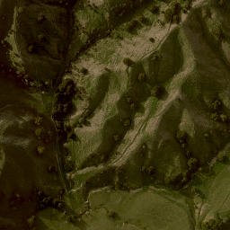 Satellite imagery of 1704 TUTUTOTARA, NZ