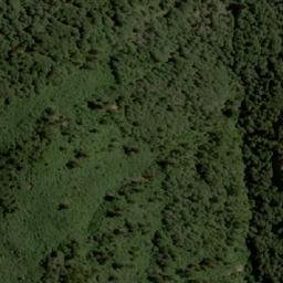 Satellite imagery of Cerro Treupillan, CL