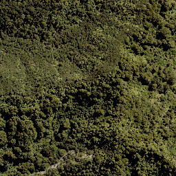 Satellite imagery of 1702 RANGIRIRI, NZ