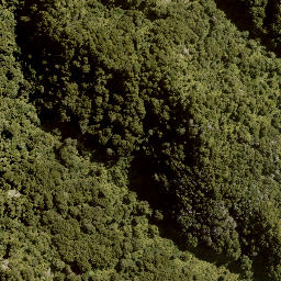 Satellite imagery of 1702 RANGIRIRI, NZ