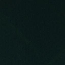 Satellite imagery of Cabbage Tree Point, NZ