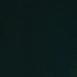 Satellite imagery of Cabbage Tree Point, NZ