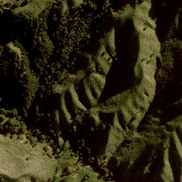 Satellite imagery of Herlihy Bluff, NZ