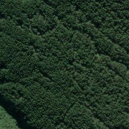 Satellite imagery of 10261, NZ