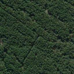 Satellite imagery of 10261, NZ