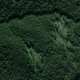 Satellite imagery of 10261, NZ