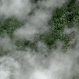 Satellite imagery of 1206 MOTUOAPA, NZ