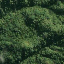 Satellite imagery of 9991, NZ