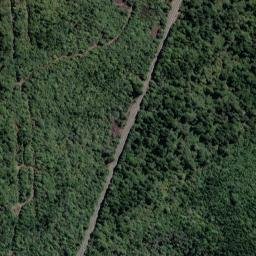 Satellite imagery of WAIHI, NZ