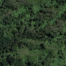 Satellite imagery of Cerro Huilo, CL