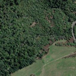 Satellite imagery of WAIHI, NZ