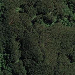 Satellite imagery of Cerro Huilo, CL