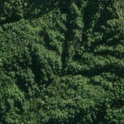 Satellite imagery of A WAIITI, NZ