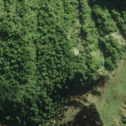 Satellite imagery of P MOKI, NZ