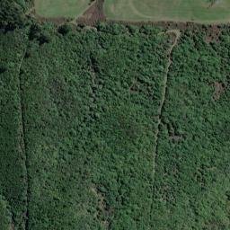 Satellite imagery of WAIHI, NZ