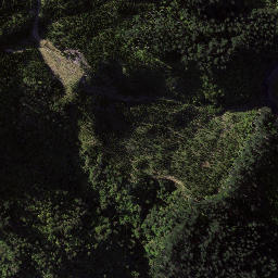 Satellite imagery of Kopuawhara Disaster 1938, NZ