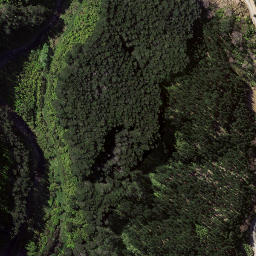 Satellite imagery of Kopuawhara Disaster 1938, NZ