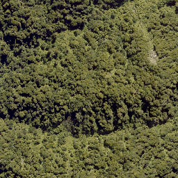Satellite imagery of 10093, NZ