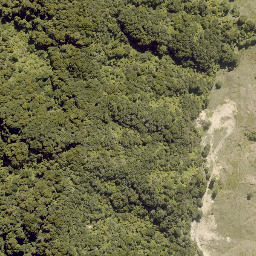 Satellite imagery of 10093, NZ