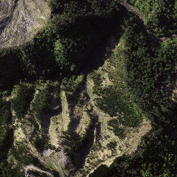 Satellite imagery of Kopuawhara Disaster 1938, NZ