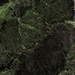 Satellite imagery of Kopuawhara Disaster 1938, NZ