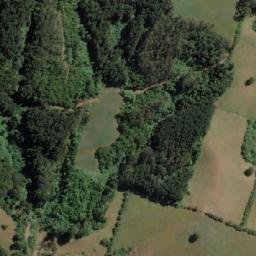 Satellite imagery of Ballena, CL