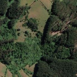 Satellite imagery of Ballena, CL