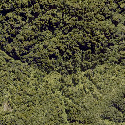 Satellite imagery of 10093, NZ