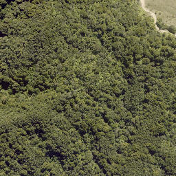 Satellite imagery of 10093, NZ